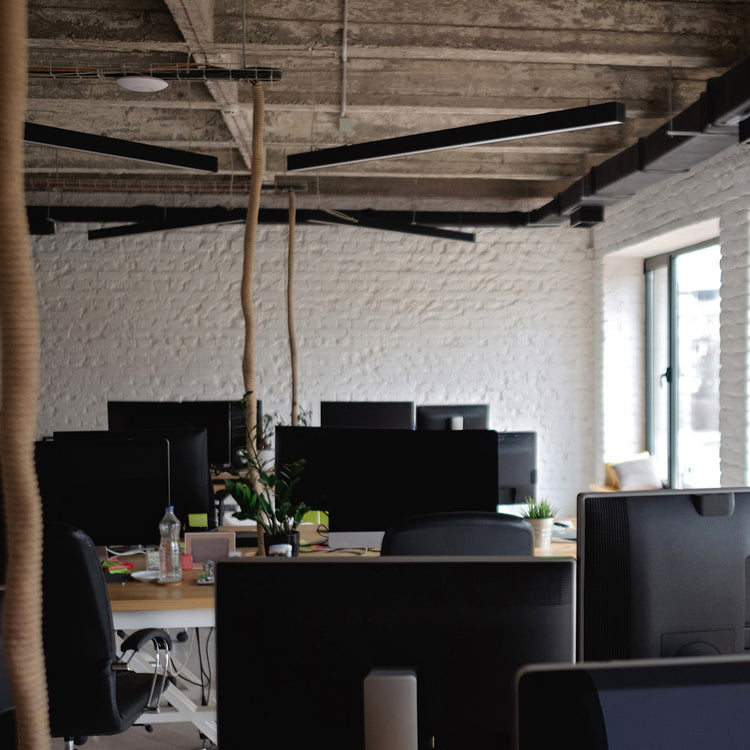 ECHO LUMINAIRE | BLACK | 1.5M