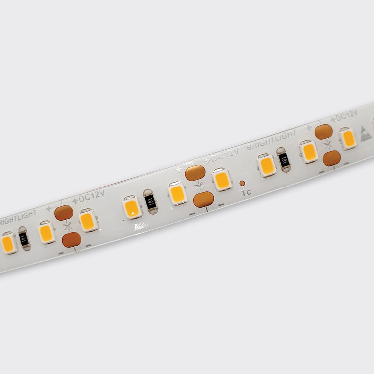 9W/m 12V LED Ribbon | IP65