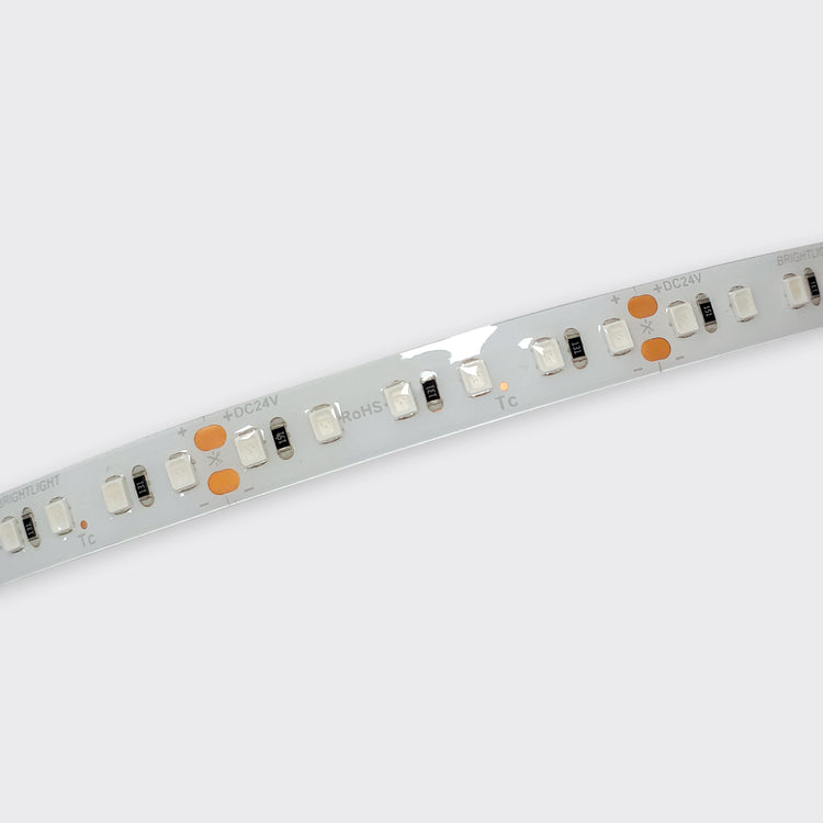 9W/m LED Ribbon | Single Colour | IP65