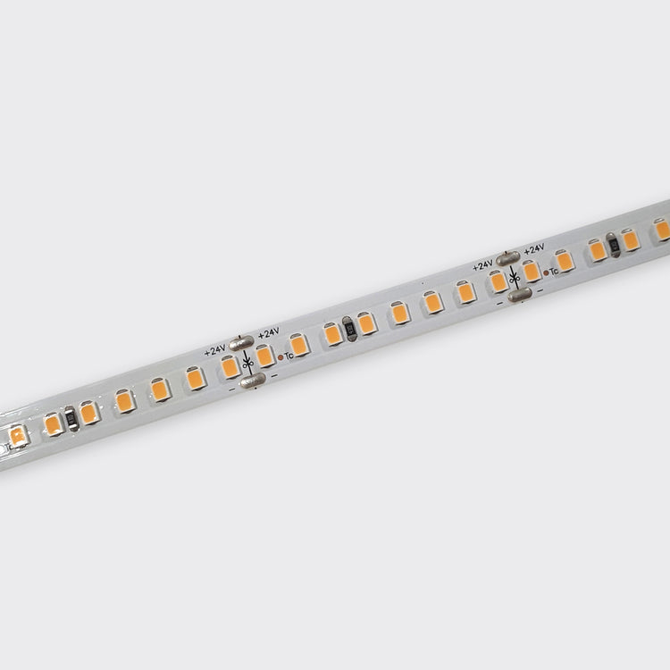 18W/m LED Ribbon | IP20
