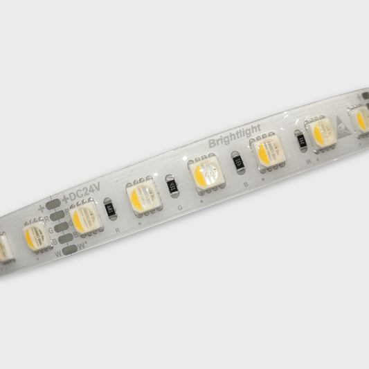 22W/m LED Ribbon | RGBW | IP65
