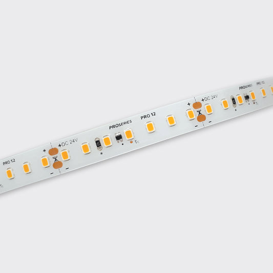 12W/m PRO 12 LED Ribbon | IP65